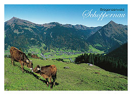 Schoppernau im Bregenzerwald gegen Diedamskopfund Üntschenspitze, Vorarlberg, Österreich