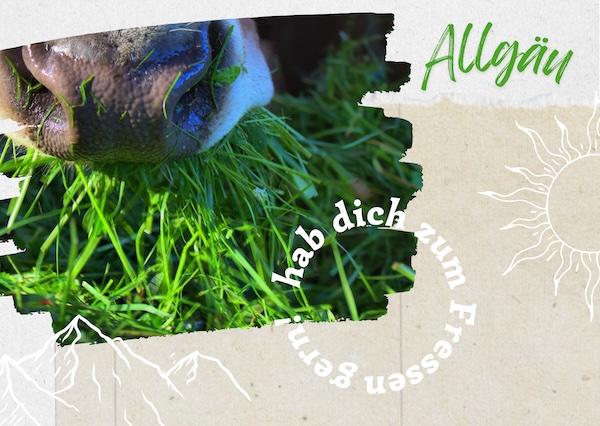 Das Allgäu ist eine der beliebtesten Urlaubsregionen Deutschlands, gelegen im äußersten Südwesten Bayerns, mit Teilen in Baden-Württemberg und an der Grenze zu Österreich. Es ist bekannt für seine beeindruckende Alpenlandschaft, grüne Hügel, zahlreiche Seen und eine starke kulturelle Identität.