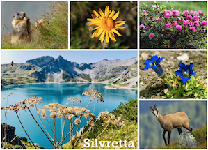 Silvretta-Stausee, Seehöhe 2030 m
Vorarlberg, Österreich