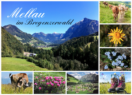 Mellau im Bregenzerwald, Vorarlberg, Österreich