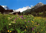 Gauertal im Rätikon, Montafon, mit Sulzfluh, Drei Türme, 2828 m, und Geißspitze, Vorarlberg, Österreich