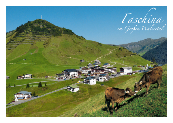 Faschina im Biosphärenpak Großes Walsertal, Vorarlberg, Österreich