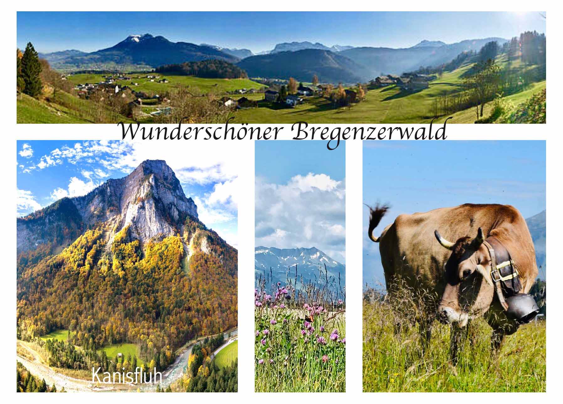 Bregenzerwald
Kanisfluh Höhe 2044 m ü. A. Vorarlberg, Österreich