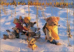 Winterbären